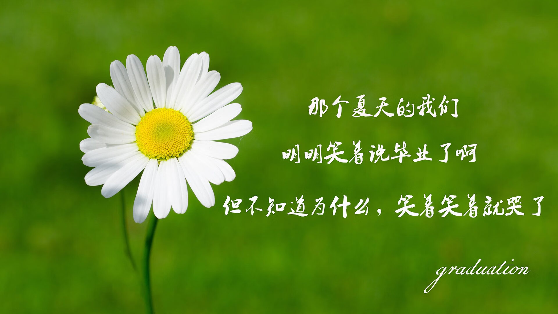 绝地求生 直播平台观看热度攀升，绝地求生 直播平台观看热度攀升怎么设置