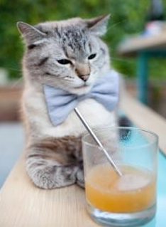 绝杀时刻！比赛最后一分钟精彩攻防引爆现场，最后一秒绝杀篮球