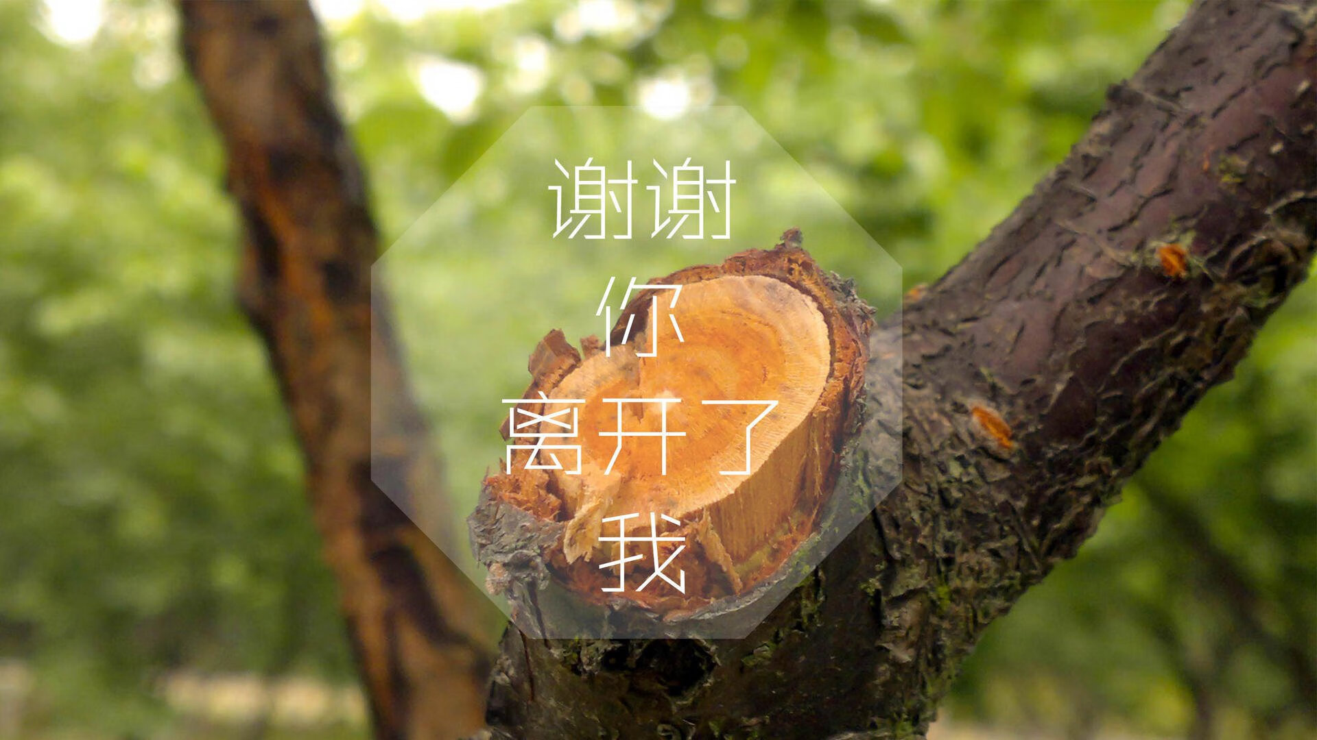赛场瞬间：第四节北京队紧咬比分，王强的逆袭成为赛事焦点！，北京队战绩