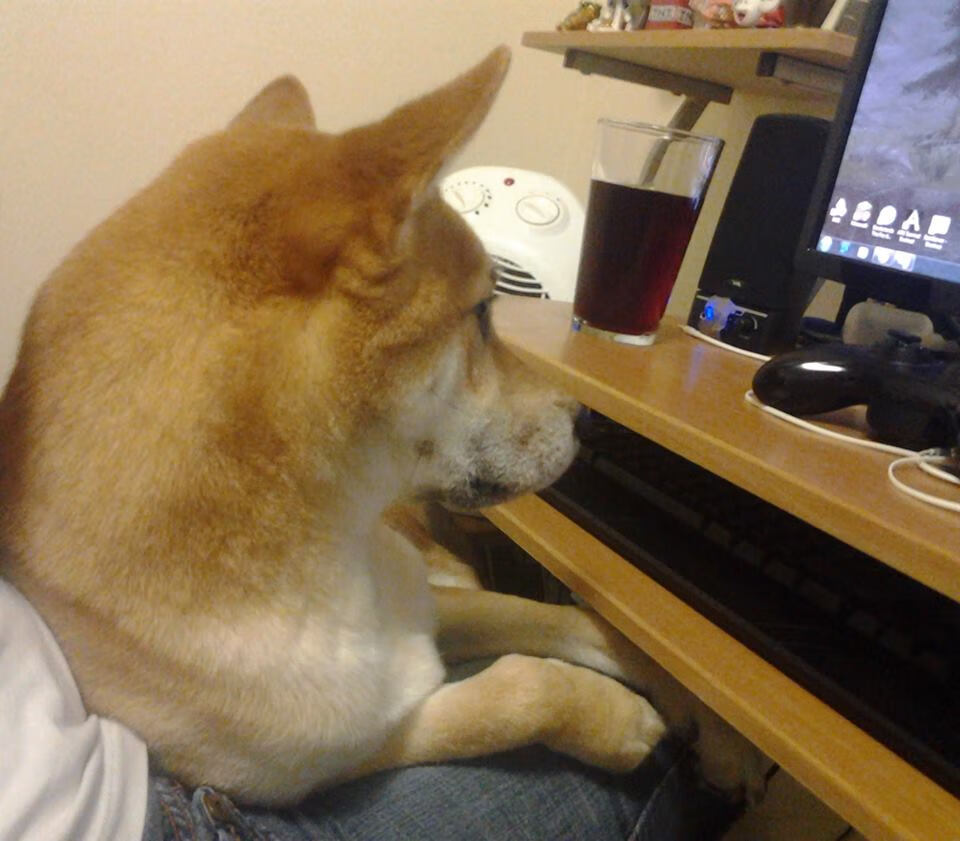 爱游戏中国官方网站平台-球员罢训风波平息，管理层承诺改善待遇，nba罢训