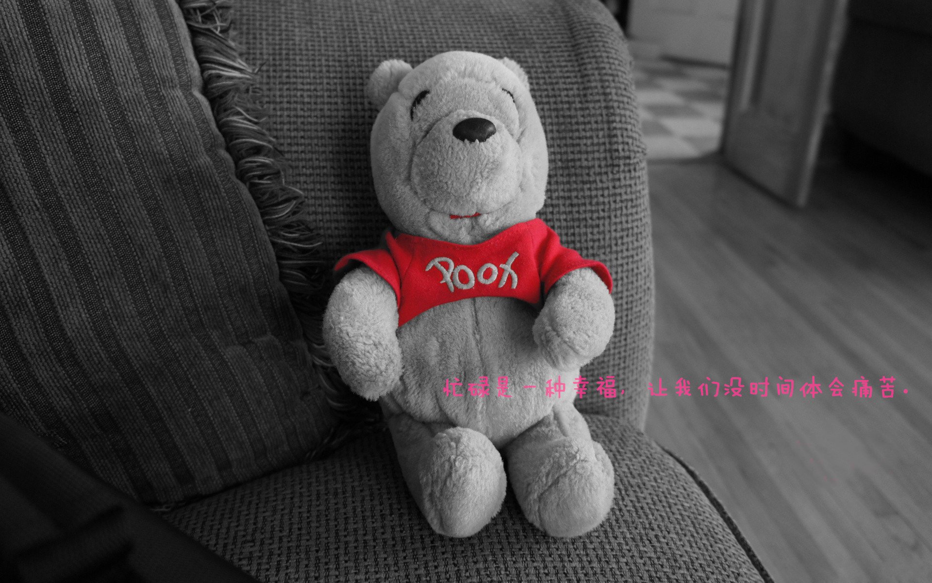 男子篮球职业赛场关注球员心理状态建立干预体系，篮球运动员的心理选材