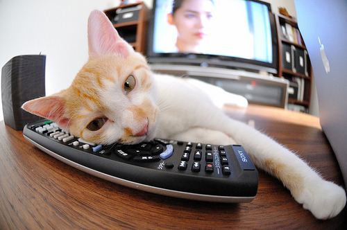 爱游戏电竞官网-皇马青训发掘新星，未来实力可期