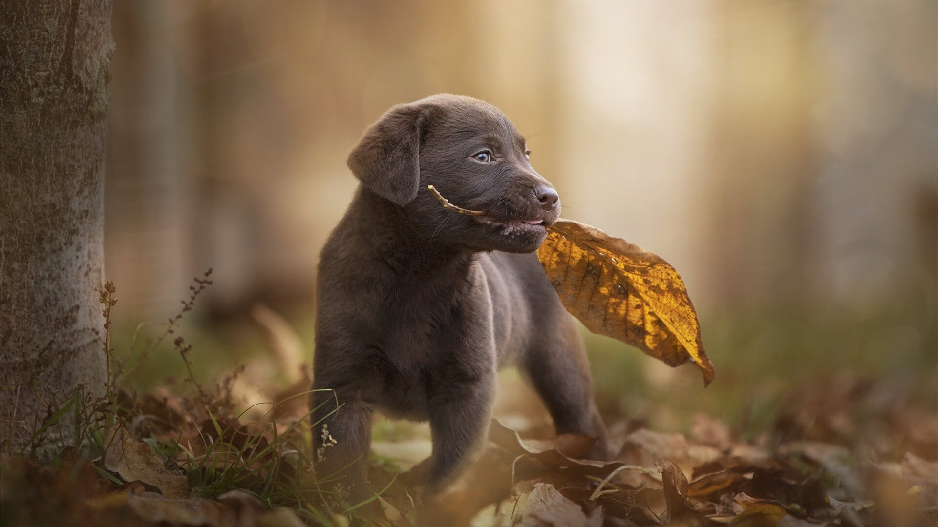爱游戏平台-足球运动员利用社交平台宣传公益，为社会传递正能量，足球运动员信息