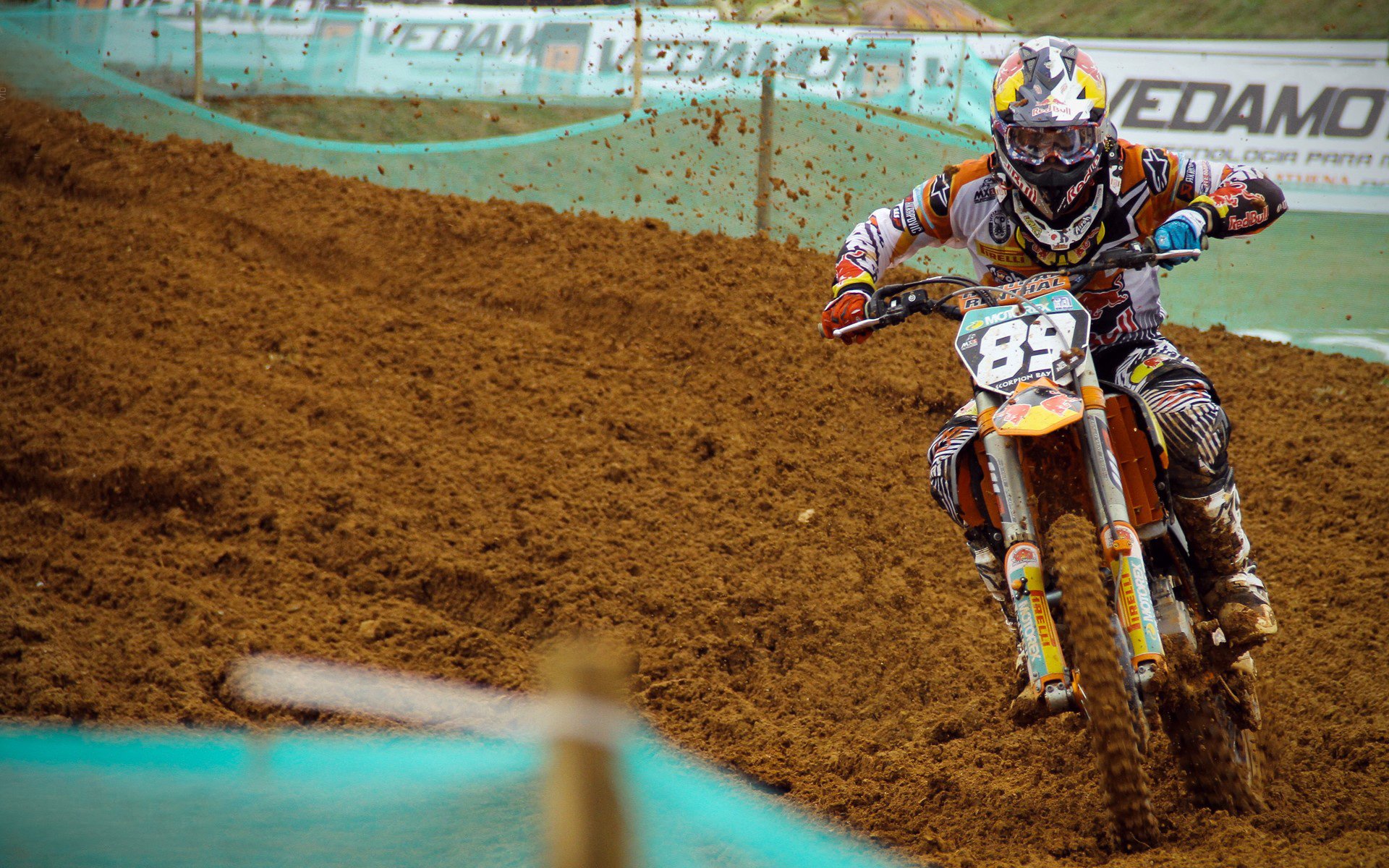 球迷心声:他们心中的年度MVP是谁?,mvp近几年